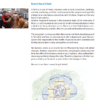 Economic Guidelines (Vol. 2)