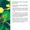 Padomi dabisko zālāju atjaunošanai “Dabisko zālāju atjaunošanas metodes”