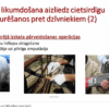 Labas lauksaimniecības prakses nosacījumi un labturības nodrošinājums piena lopkopības saimniecībās (II)