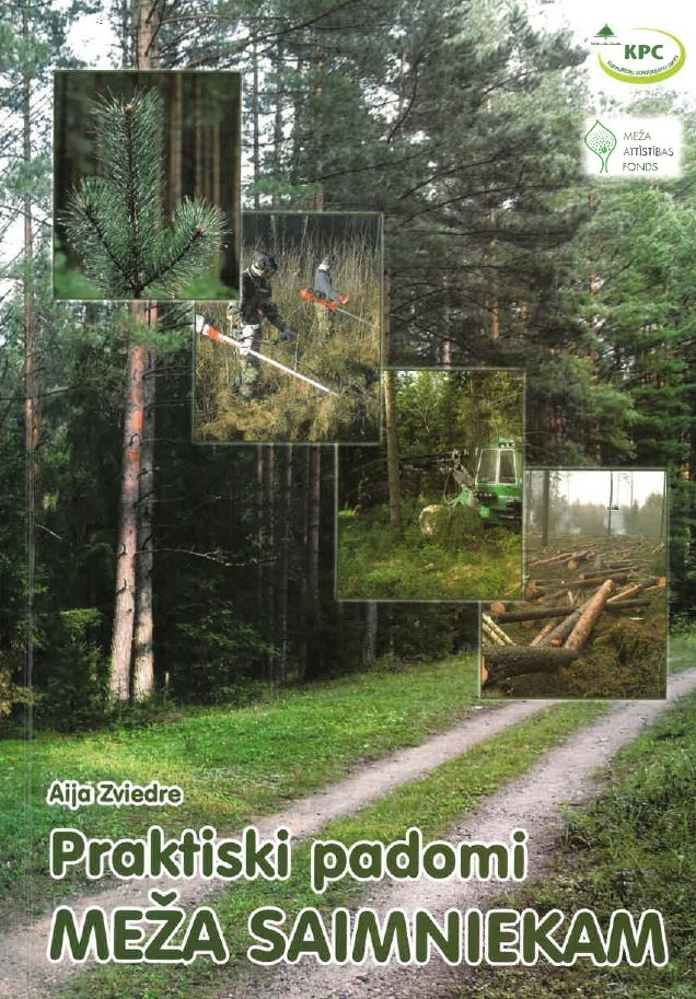 Praktiski padomi meža saimniekam
