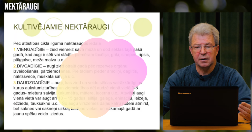 Nektāraugi (VIDEO)