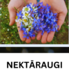 Nektāraugi (VIDEO)