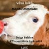 Kas jāievēro, ēdinot teļus vēsā laikā