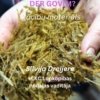 Kāda skābbarība der govīm?