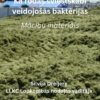 Kā rodas sviestskābi veidojošās baktērijas
