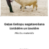 Gaļas liellopu sagatavošana izstādēm un izsolēm