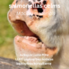 Biedējošs jauns salmonellas celms