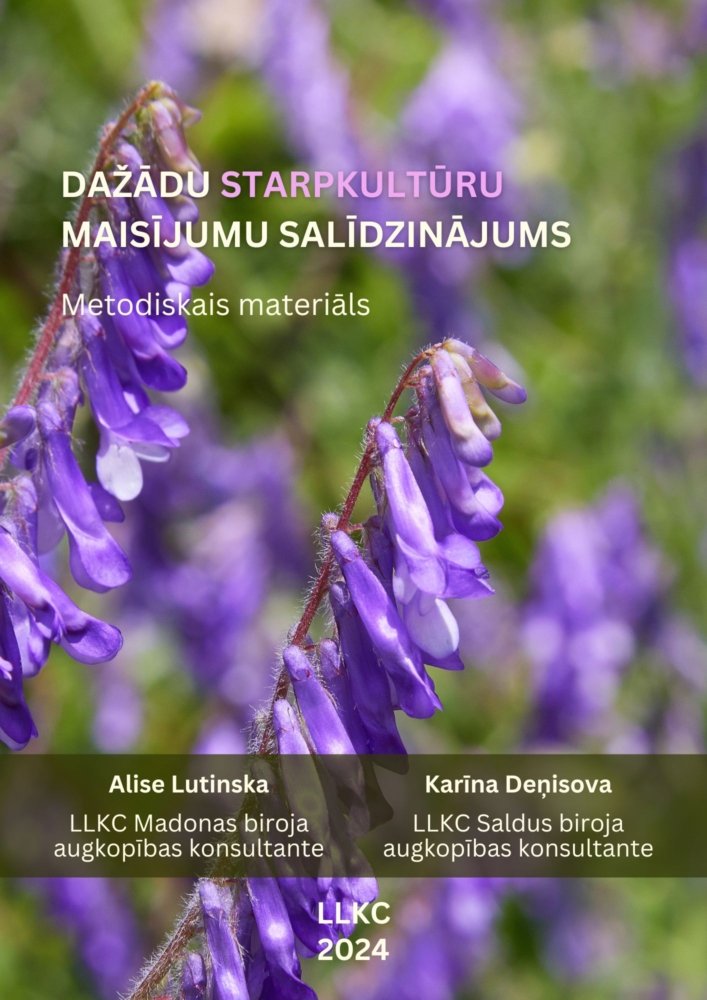 Dažādu starpkultūru maisījumu salīdzinājums 2024