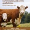 Ketozes izplatības veicinošie faktori slaucamo govju ganāmpulkā