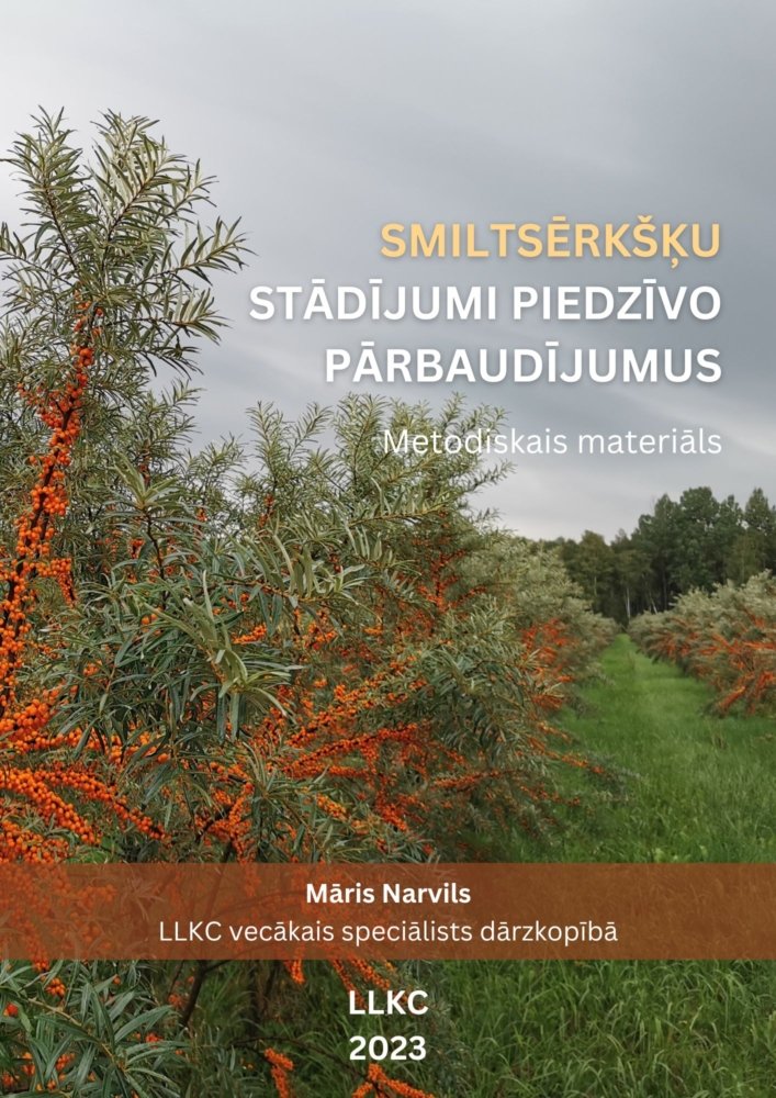 Smiltsērkšķu stādījumi piedzīvo pārbaudījumus 2023
