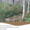 Audžu kvalitātes uzlabošana dabiski apmežojušās lauksaimniecības zemēs
