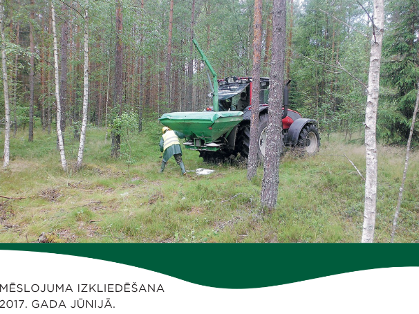 Minerālmēslojuma pielietošana priedes un bērza jaunaudzēs sausieņos un āreņos