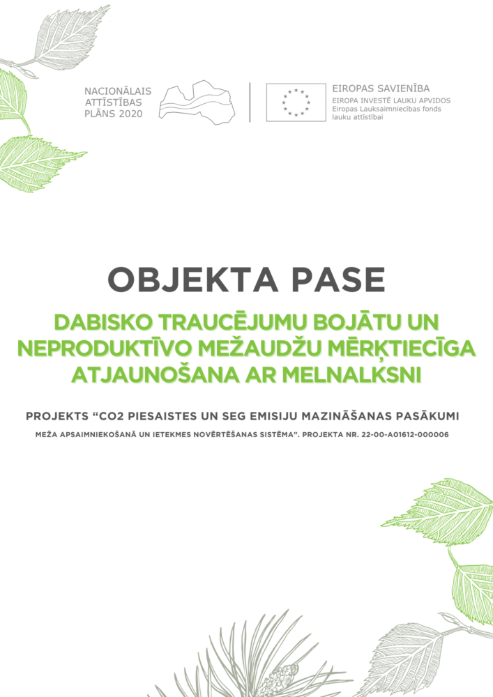 Dabisko traucējumu bojātu un neproduktīvo mežaudžu mērķtiecīga atjaunošana ar melnalksni