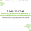 Intensīvi kultivēti kokaugu stādījumi ar papeli mazsauglīgās un auglīgās augsnēs