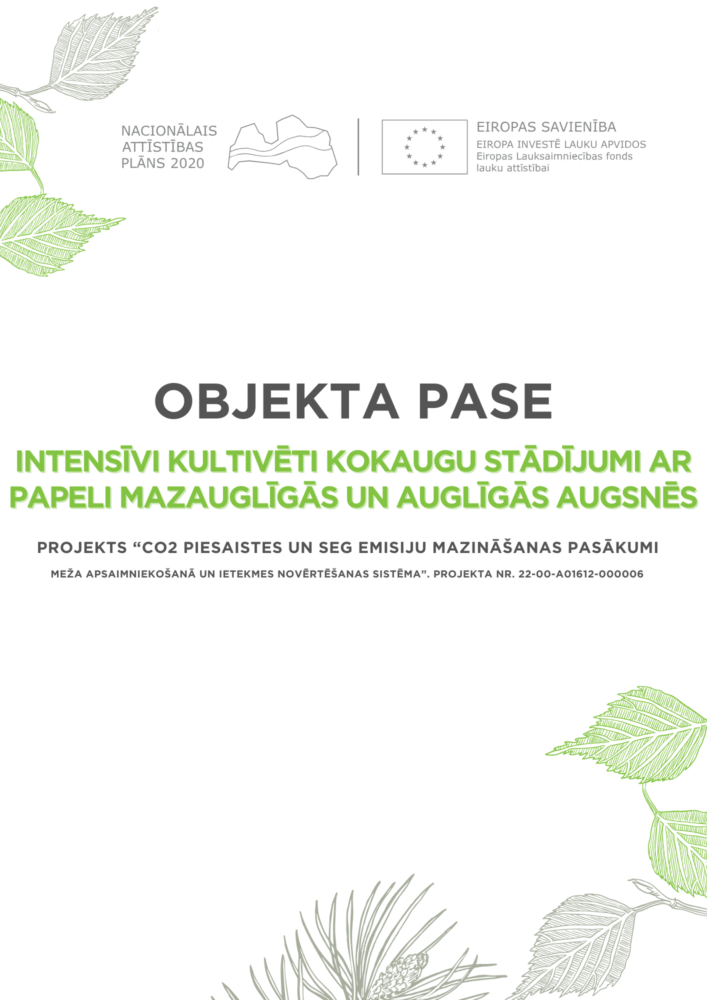 Intensīvi kultivēti kokaugu stādījumi ar papeli mazsauglīgās un auglīgās augsnēs
