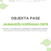 Jaunaudžu kopšanas cirte