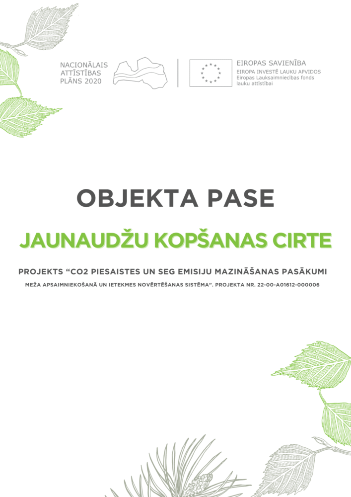 Jaunaudžu kopšanas cirte