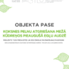 Koksnes pelnu atgriešana mežā kūdreņos pieaugušā egļu audzē