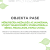 Mērķtiecīga mežaudžu atjaunošana, stādot selekcionētu stādmateriālu-bērzu, melnalksni, papeli un egli