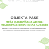 Meža ieaudzēšana ar egli meliorētās organiskās augsnēs