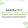 Meža ieaudzēšana ar priedi mazauglīgās minerālaugsnēs pie Rindzeles ezera