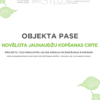 Novēlota jaunaudžu kopšanas cirte
