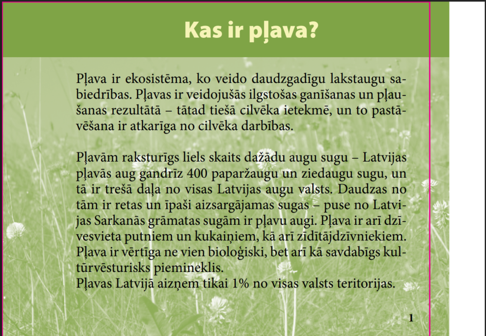 Pļava