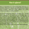Pļava