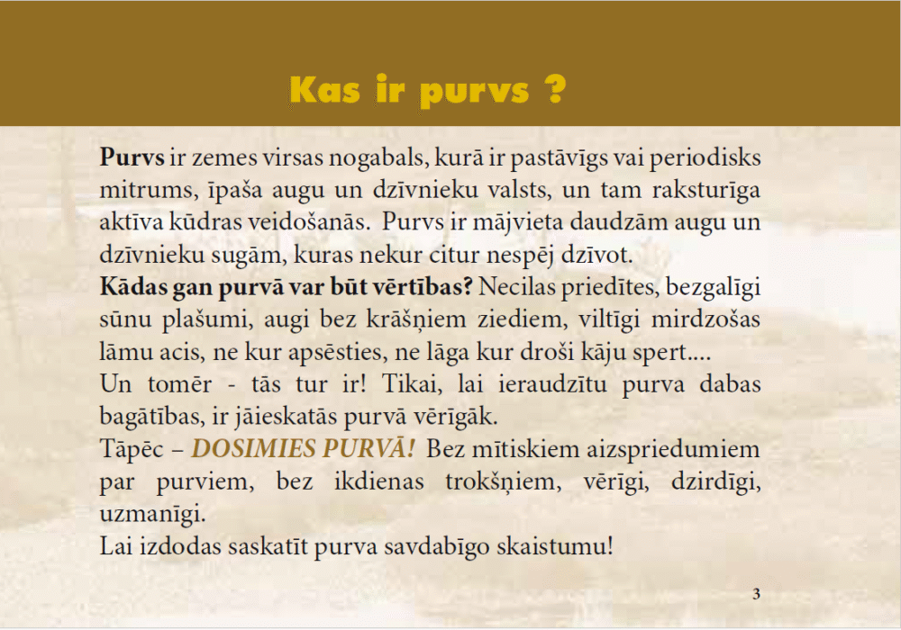 Purvs