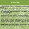 Pļava