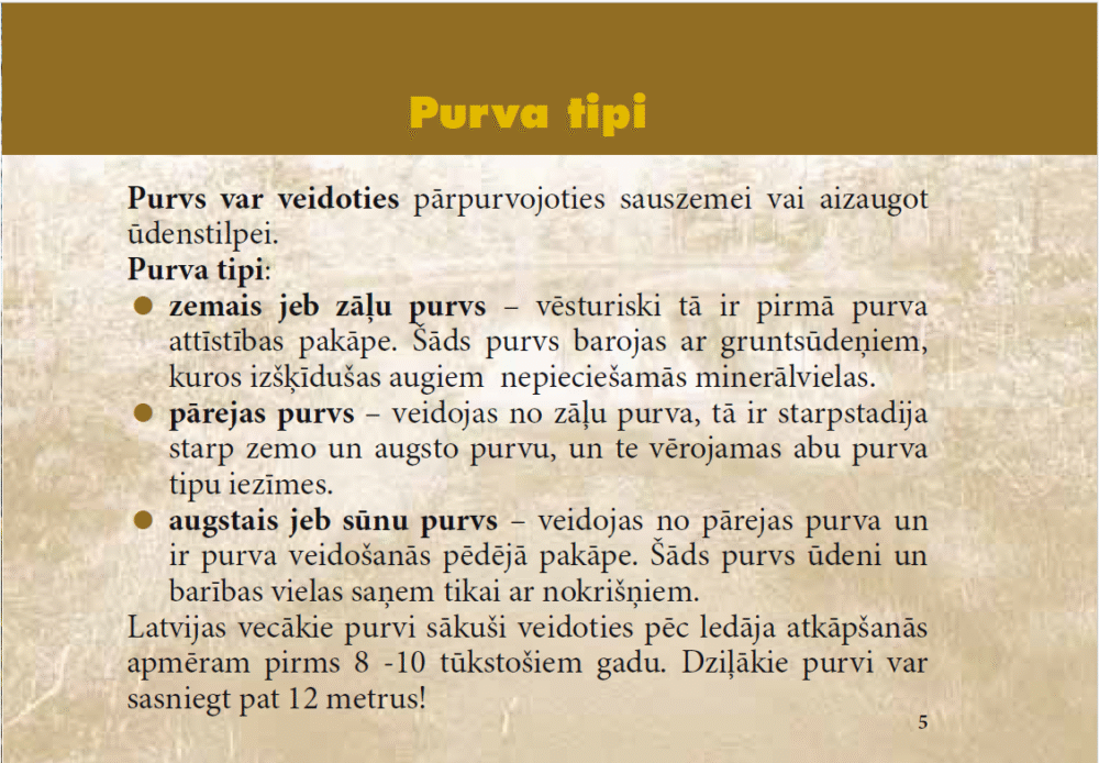 Purvs