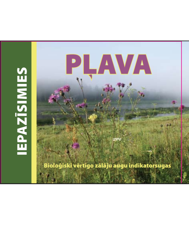 Pļava