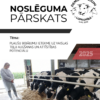 Plaušu bojājumu ietekme uz vaislas teļu augšanas un attīstības potenciālu