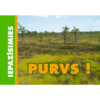 Purvs