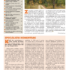 Čiekurs 2019. Rudens
