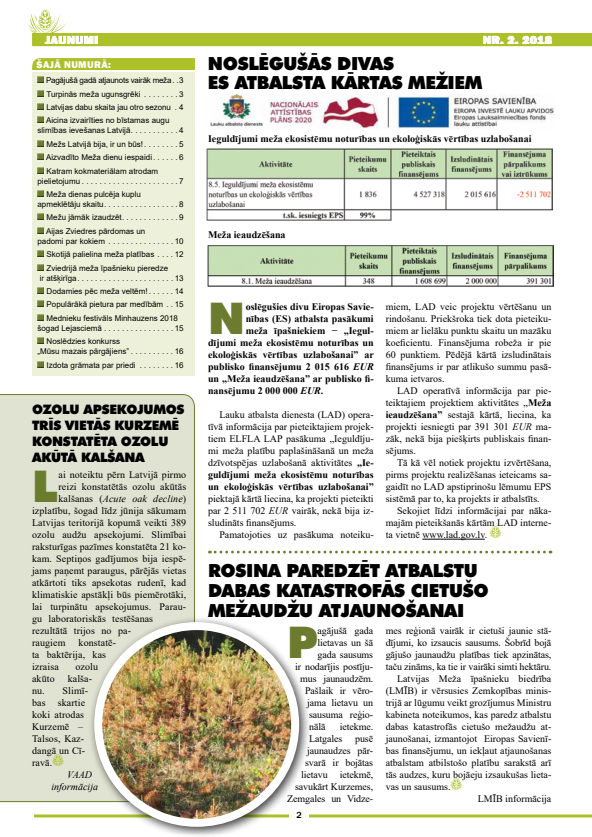 Čiekurs 2018. Vasara
