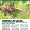 Čiekurs 2024. Vasara