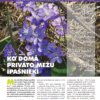 Čiekurs 2019. Pavasaris