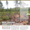 Čiekurs 2019. Rudens
