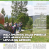 Čiekurs 2019. Vasara