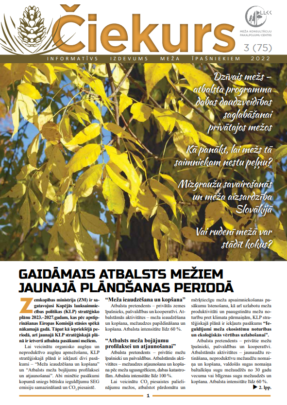 Čiekurs 2022. Rudens