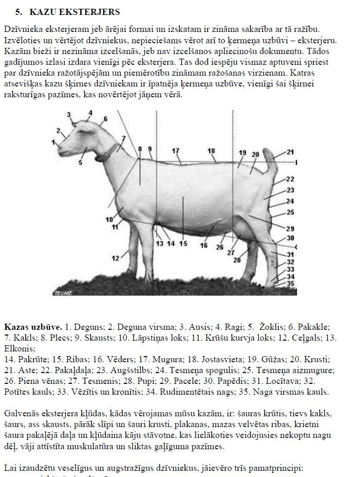 Kazkopības rokasgrāmata
