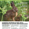Čiekurs 2026. Pavasaris